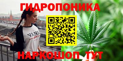 ГАЛЛЮЦИНОГЕННЫЕ ГРИБЫ Гусиноозёрск