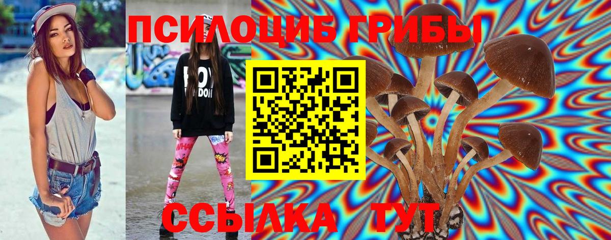 Галлюциногенные грибы MAGIC MUSHROOMS  Вход с VPN  Надым 