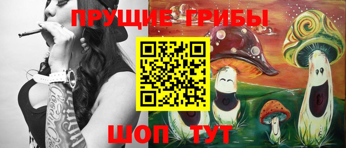 Псилоцибиновые грибы Psilocybe Надым